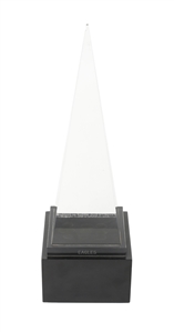 Eagles 1980 American Music Award Trophy