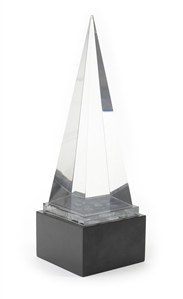 Eagles 1980 American Music Award Trophy