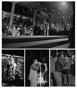 James Brown 1969 - 1970 Lot of 163 Black & White Frames From Two Shows At The Montreal Forum