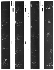 Muddy Waters 1971 Lot of 37 Black & White Frames From Montreal