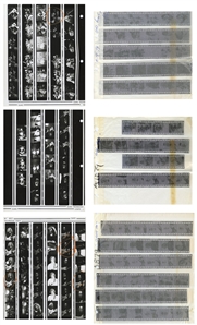 The Grateful Dead 1978-1989 Lot of 3 Contact Sheets, Negatives and Color Slides Live and Backstage With Transfer Rights